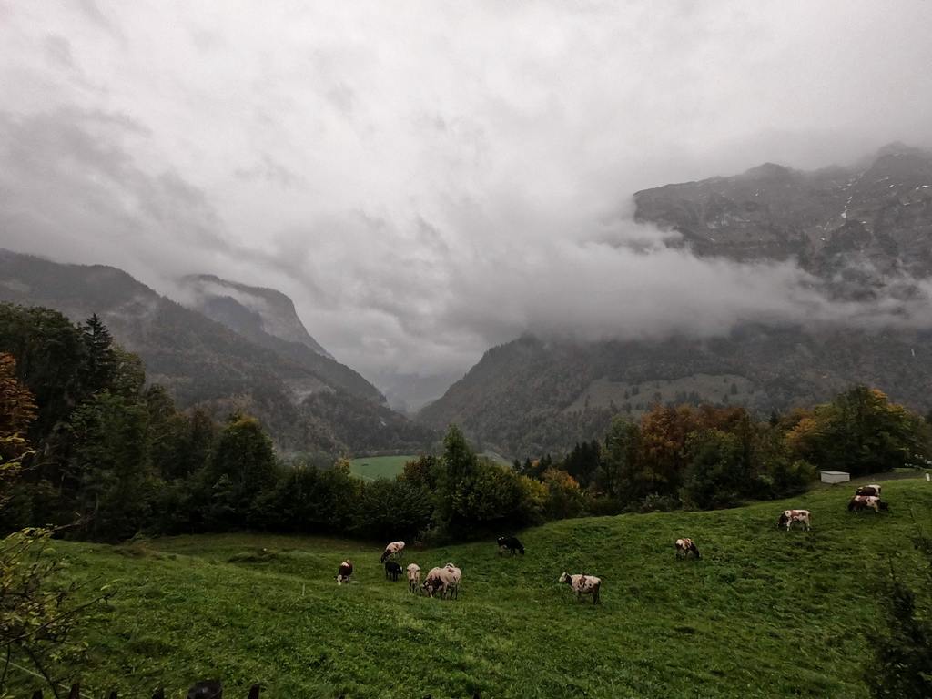 Pasture Raised